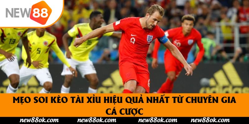 Mẹo Soi Kèo Tài Xỉu Hiệu Quả Nhất Từ Chuyên Gia Cá Cược