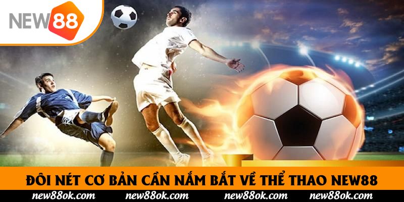 Đôi nét cơ bản cần nắm bắt về thể thao New88