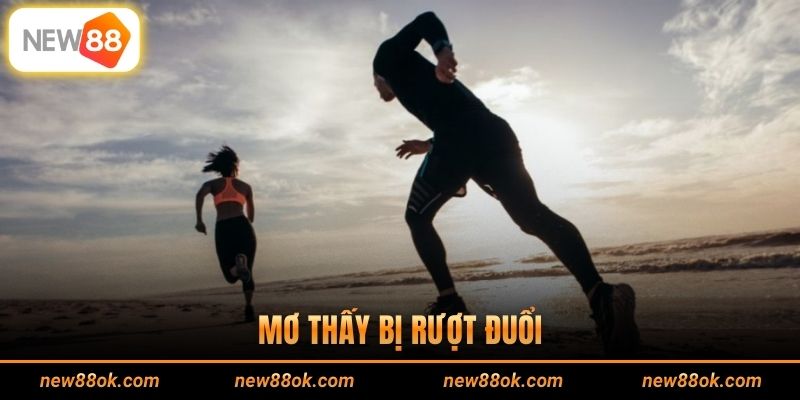 Mơ Thấy Bị Rượt Đuổi - Điềm Báo Về Nỗi Lo Trong Cuộc Sống